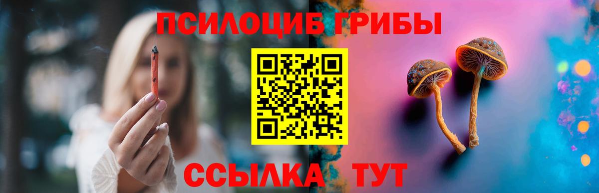 Псилоцибиновые грибы Cubensis  Псилоцибиновые грибы Magic Shrooms  Вход с VPN  Астрахань 